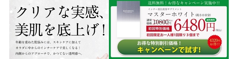 �}�X�^�[�z���C�g���T�C�g